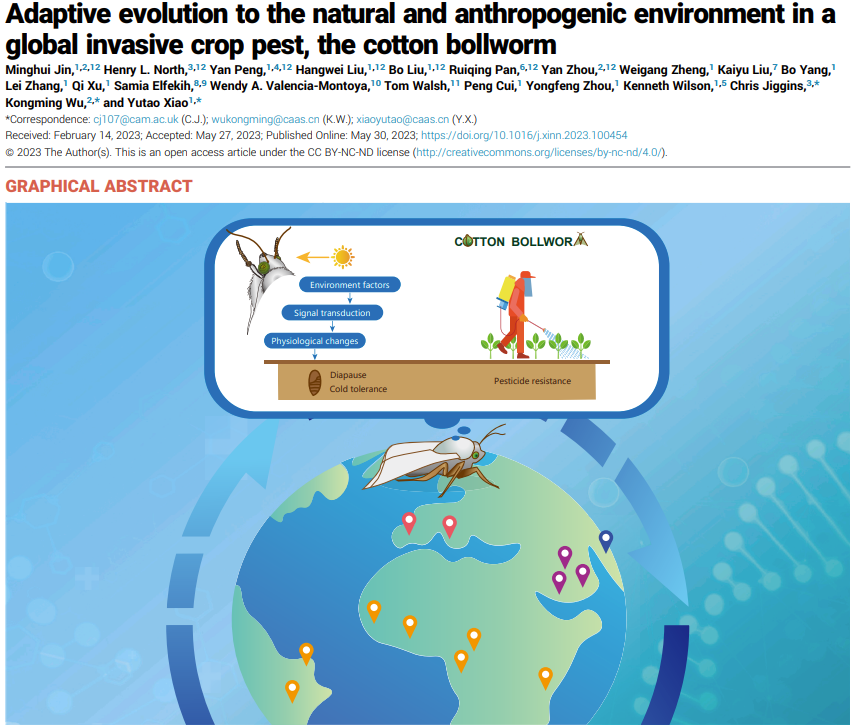 Adaptive evolution to the natural and anthropogenic environment in a global invasive crop pest, the cotton bollworm
