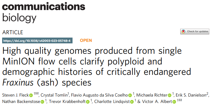 High quality genomes produced from single MinION flow cells clarify polyploid and demographic histories of critically endangered Fraxinus (ash) species