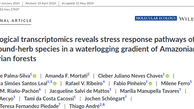 Collaboration with UNICAMP - New paper: Ecological Genomics of Ischnosiphon puberulus in a waterlogging gradient of Amazonian riparian forests