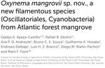 Collaboration with the research group of Prof. Marli F. Fiore on the description of Oxynema mangrovii