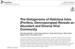 Paper published: The Hologenome of Haliclona fulva (Porifera, Demospongiae) Reveals an Abundant and Diverse Viral Community