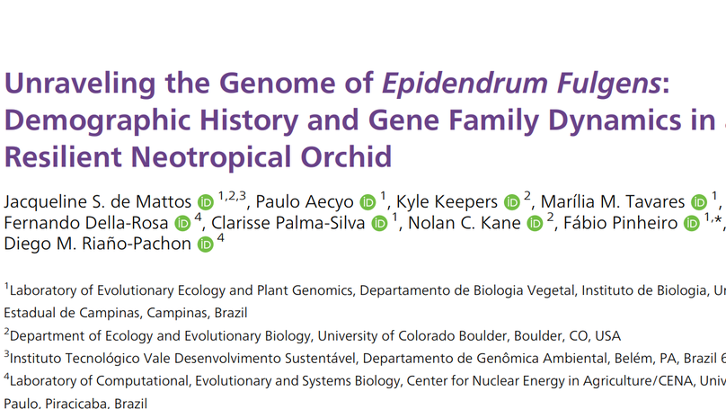 Collaboration with the research group of Prof. Fabio Pinheiro on the genome sequence and annotation of the Neotropical Orchid Epidendrum Fulgens