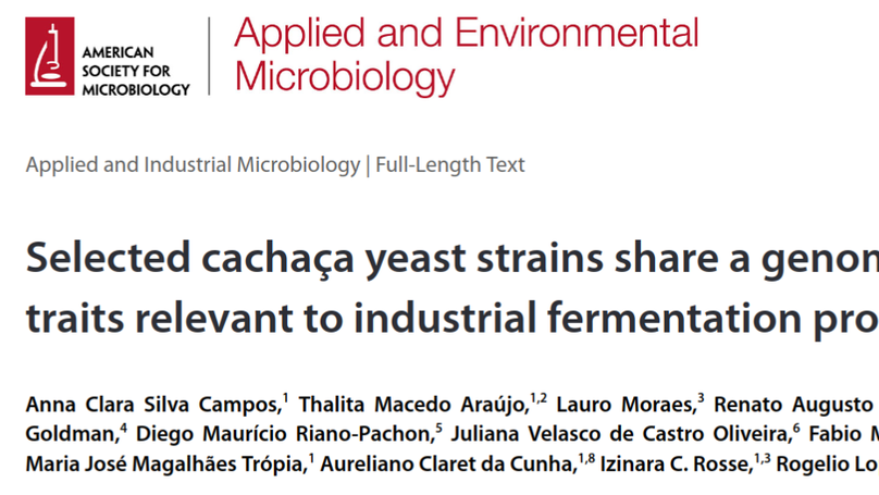 Collaboration with UFOP - New paper: Genomics of yeast strains used in the production of Cachaca