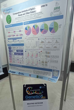 LabBCES participated in the Genetics Congress in Campos de Jordão/SP