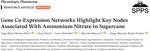 New paper: Gene Co-Expression Networks Highlight Key Nodes Associated With Ammonium Nitrate in Sugarcane - Collaboration with UNICAMP